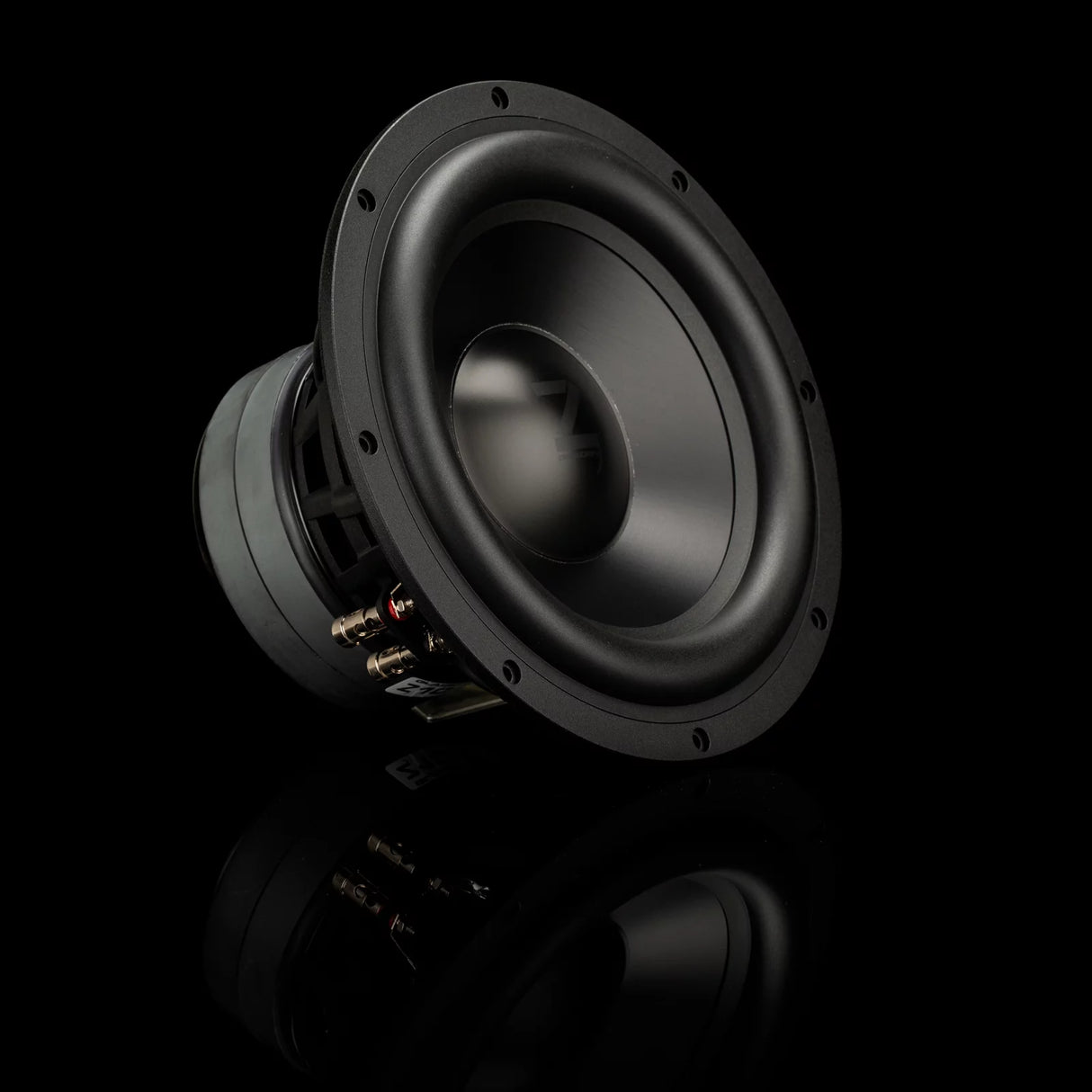 Gladen Zeta 10 2x2 Ohms