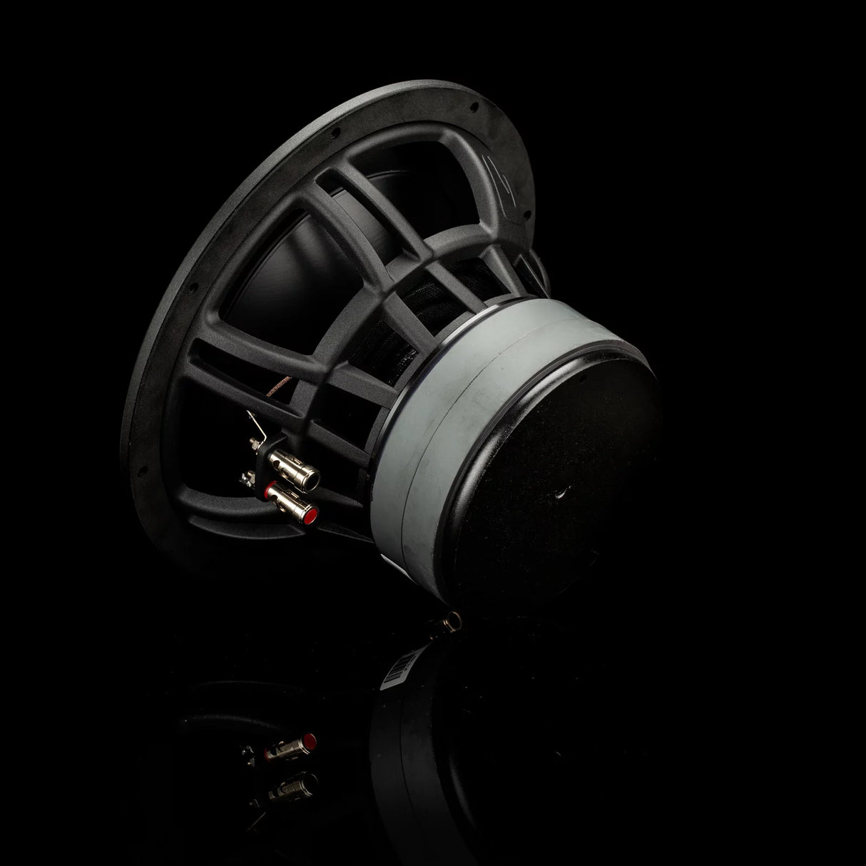 Gladen Zeta 10 2x2 Ohms