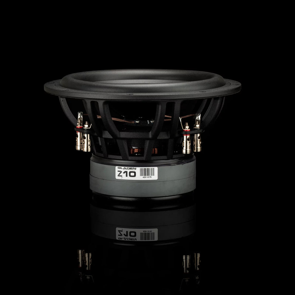 Gladen Zeta 10 2x2 Ohms