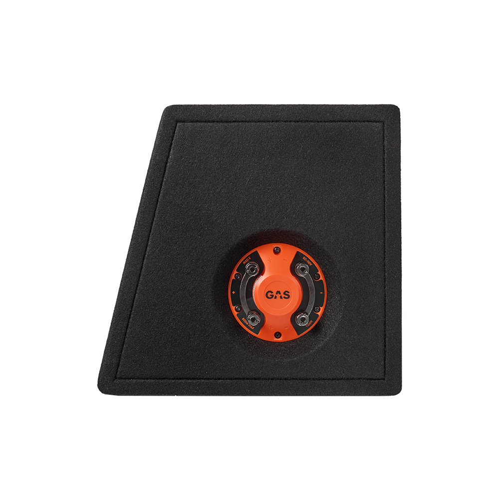 MAD B2-110V 10" 2+2 Ohms
