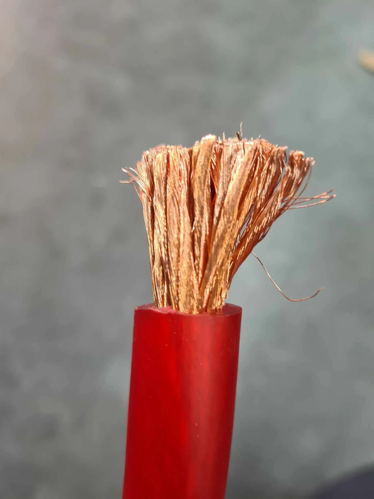 Bobine cable alimentation 53.7mm²(100% cuivre,20 mètres rouge) - Sound Auto Concept