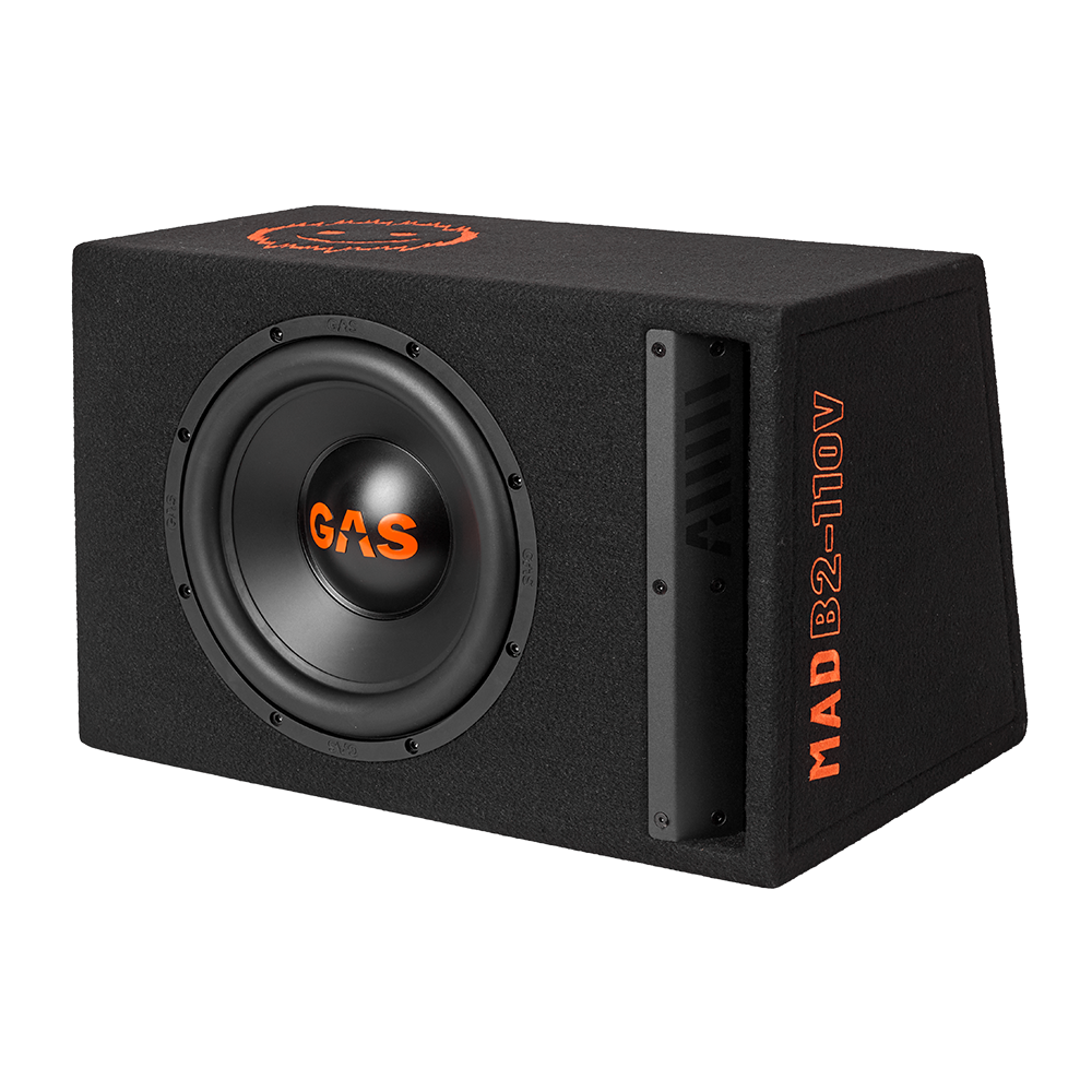 MAD B2-110V 10" 2+2 Ohms