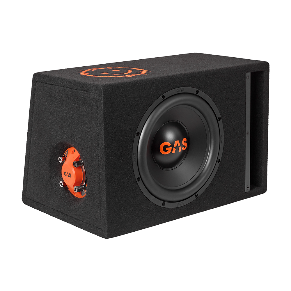 MAD B2-110V 10" 2+2 Ohms