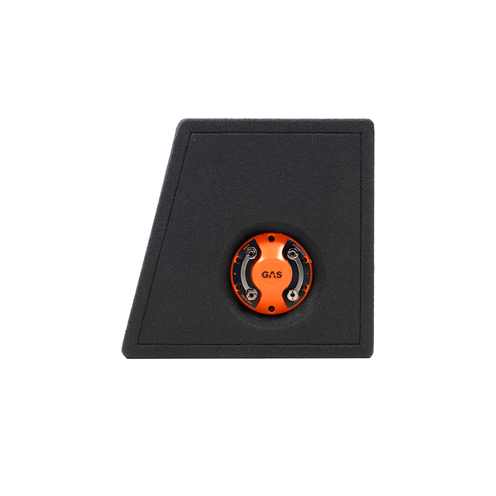 MAD B2-210V 2x10" 2x2 Ohms