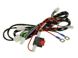 Amplificateur SWA-150KIT  Fiat Citroen Peugeot  utilitaire