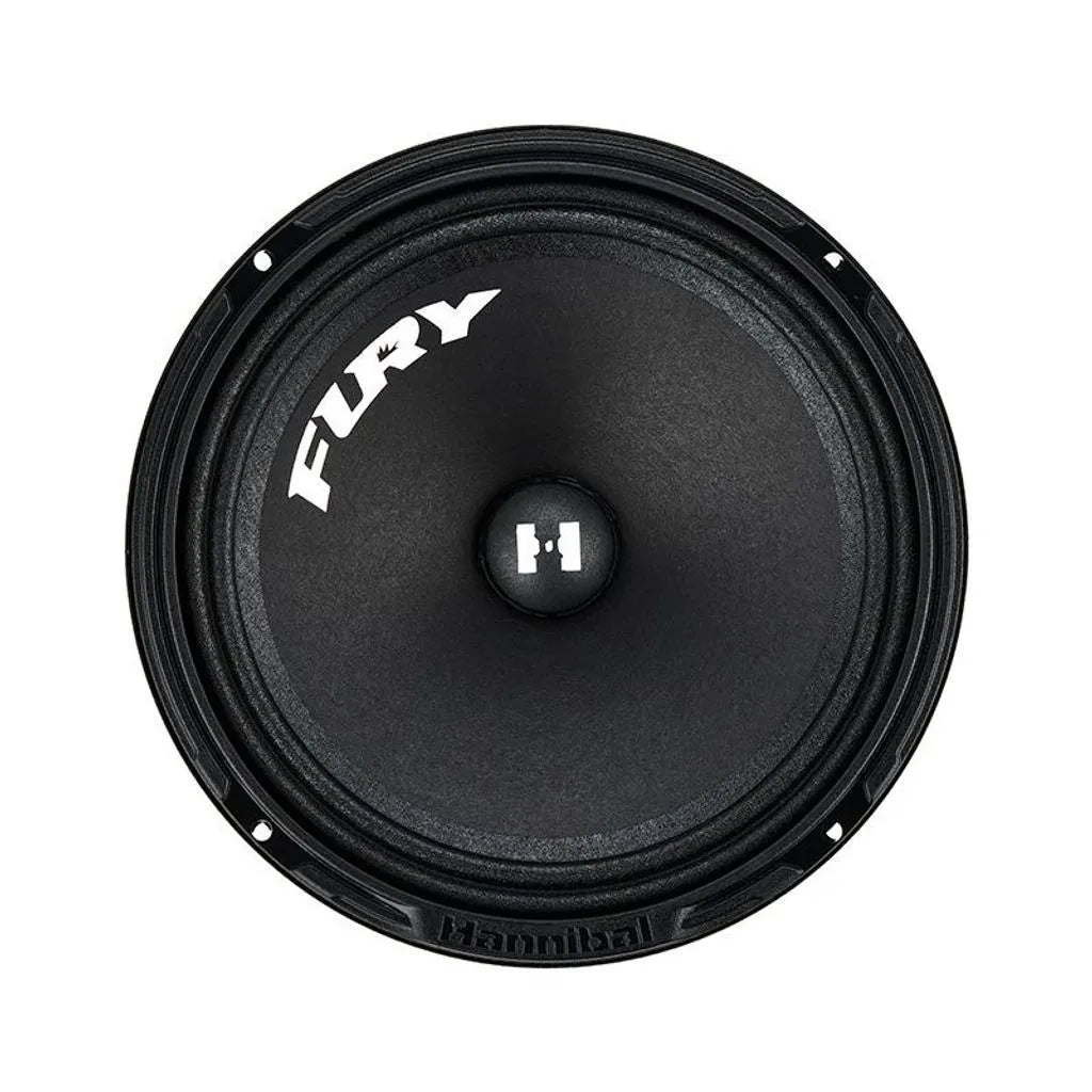 HANNIBAL FURY 165 – Midbass Paire 16.5 cm 90 WRMS 91.6 dB 4 Ohm