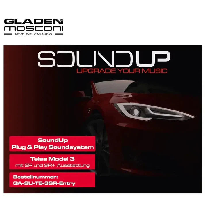Pack Audio Plug and Play : Caisson + Amplificateur DSP 6 canaux pour TESLA Model 3