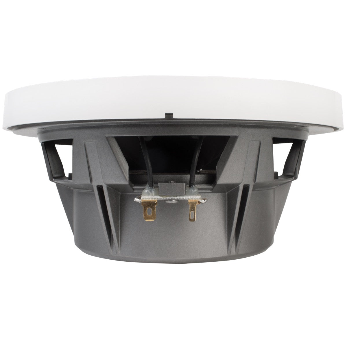 Coaxial Marine WET65 - Sound Auto Concept