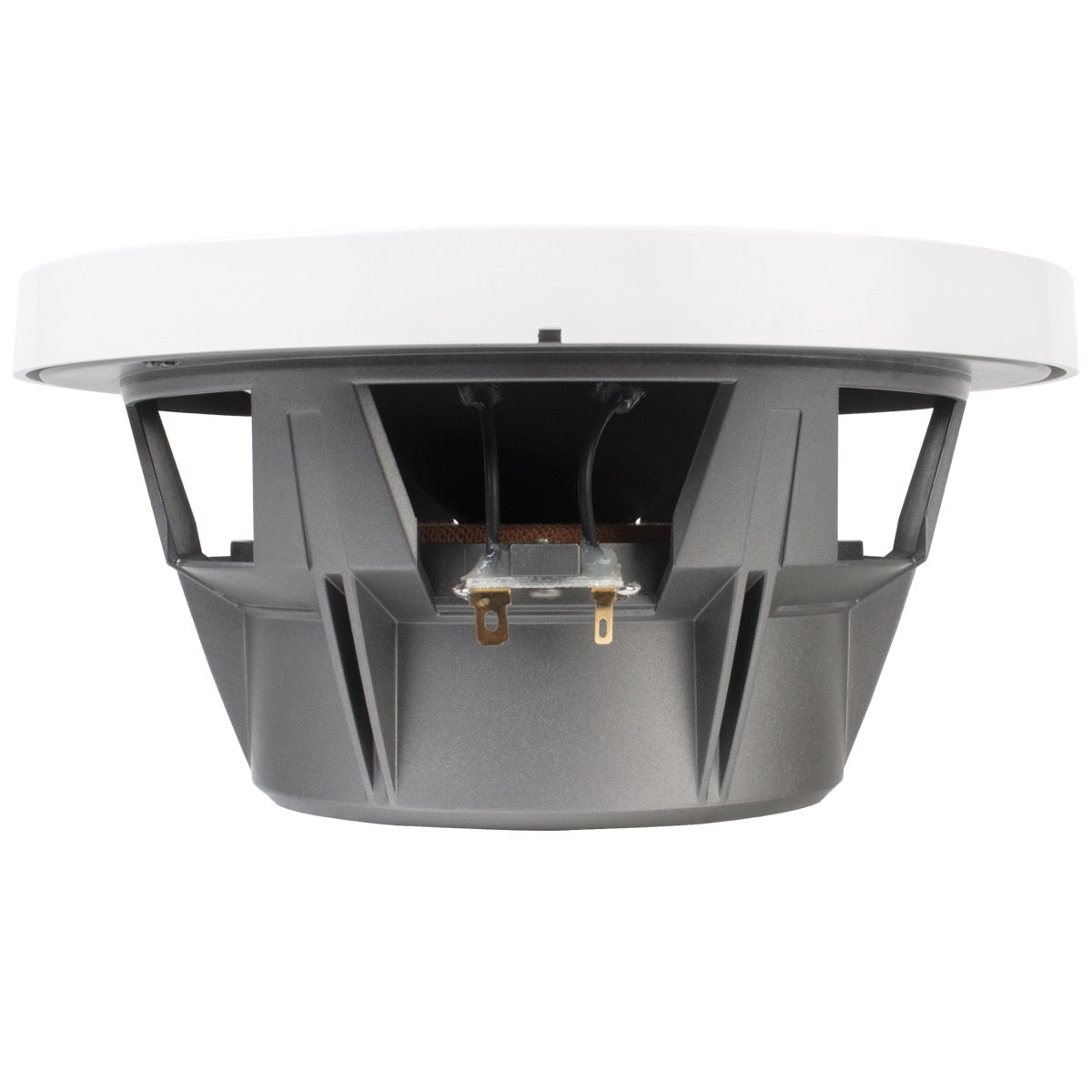 Coaxial Marine WETT77 - Sound Auto Concept