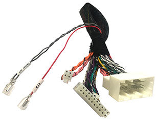 Adaptateur Amplificateur Dsp M4+/M6 | BMW Hifi Système - Sound Auto Concept
