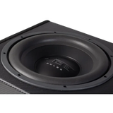 Caisson Amplifier PULSECBR12A-V4